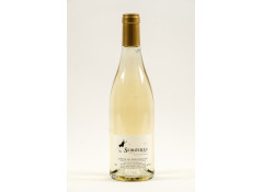 Les Sorcières 2025 Blanc 